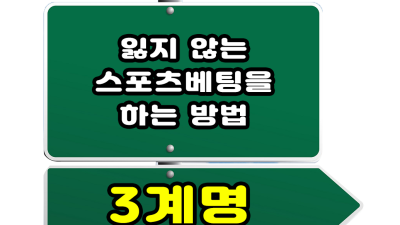 잃지 않는 스포츠토토 베팅을 하는 3계명